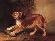 Benjamin Marshall A Celebrated spaniel,the property of colonel joliffe,in a landscape with a woodcock Sweden oil painting artist